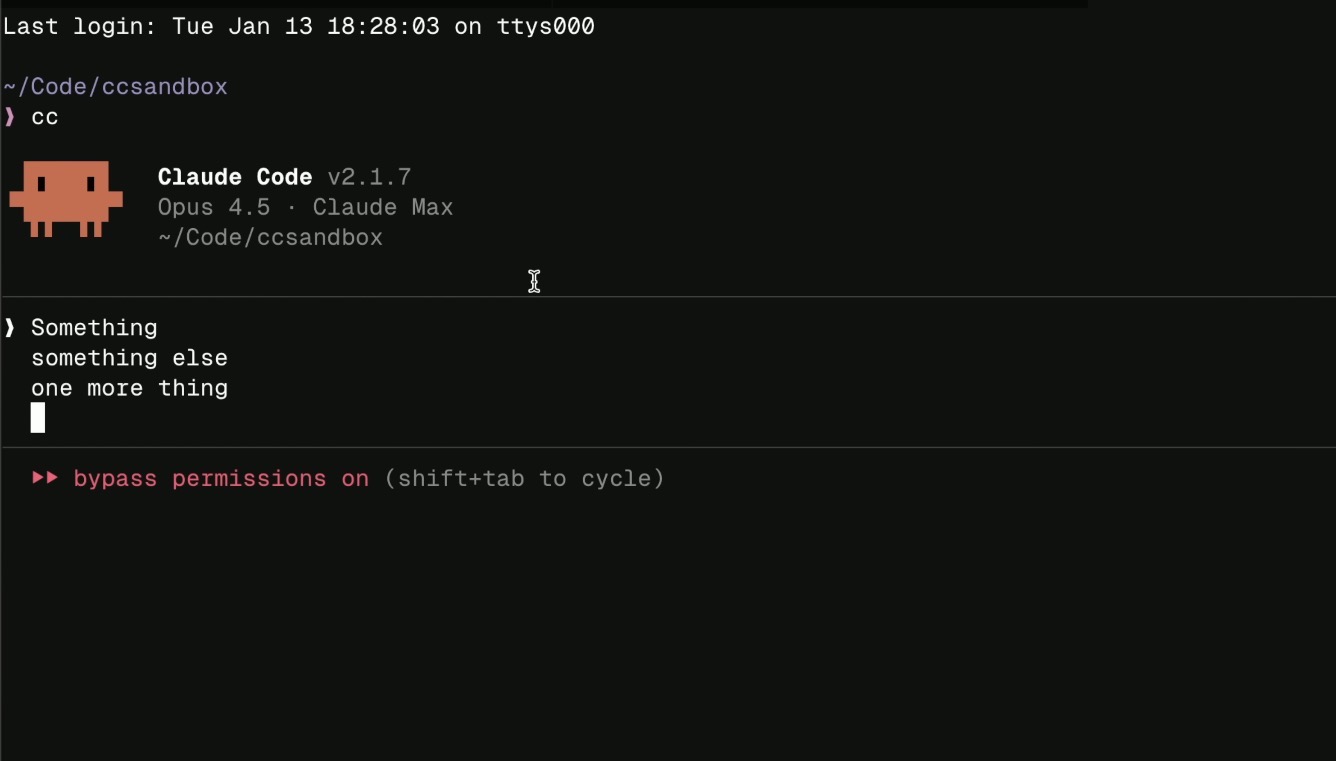 A screenshot of Claude Code circa January 2026.